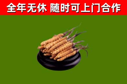 宿迁烟酒回收冬虫夏草.jpg
